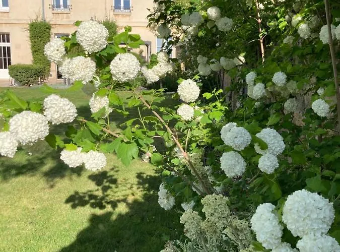 La Boutique Mj Decoration Vous Propose De Decouvrir Ses Deux D'hotes Bed & Breakfast